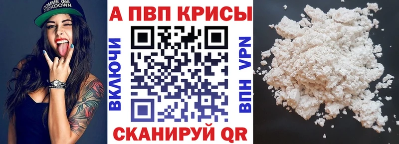 Альфа ПВП СК Майкоп