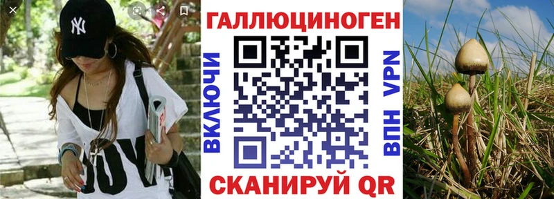 Псилоцибиновые грибы Magic Shrooms Майкоп