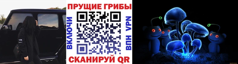 Псилоцибиновые грибы Cubensis  гидра ссылки  Майкоп 