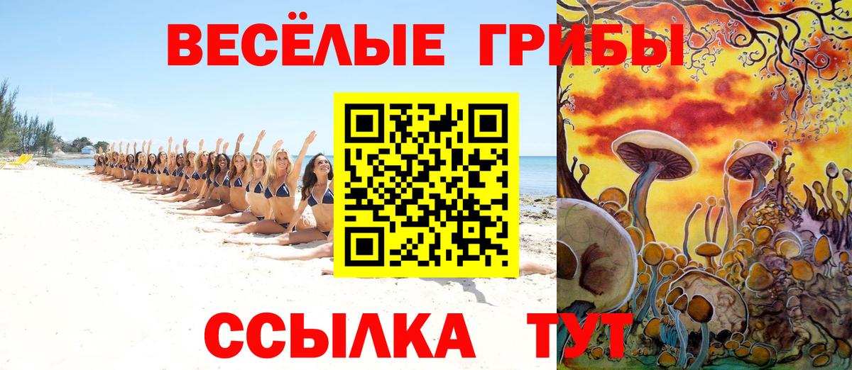 Майкоп  Галлюциногенные грибы мицелий  цена   Галлюциногенные грибы мухоморы  Вход с VPN 